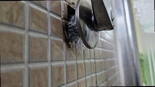 동안구 재점검 기록 동안구 재점검 기록