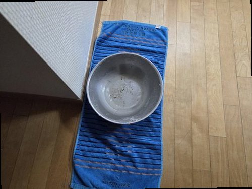 하남 누수탐지 베란다 천장 얼룩과 창틀 주변 누수 흔적 점검