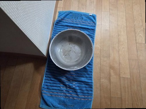 김포 누수탐지 통진읍 누수탐지 아파트천장물샘 숨겨진 원인, 늦기 전에 찾다