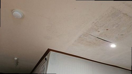 청주시 서원구 누수탐지 사직1동 누수탐지 누수보험서류 누수 처리의 기본이란 무엇인가