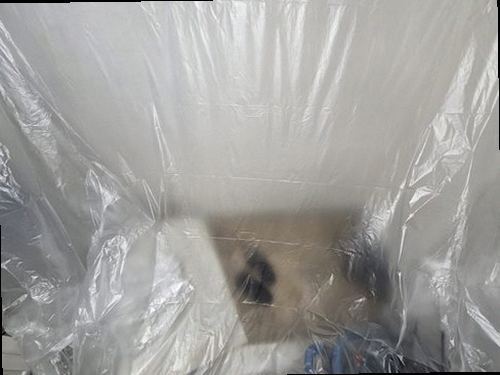 옥천군 누수탐지 거실 천장 누수 흔적과 주변 벽면을 확인하는 현장