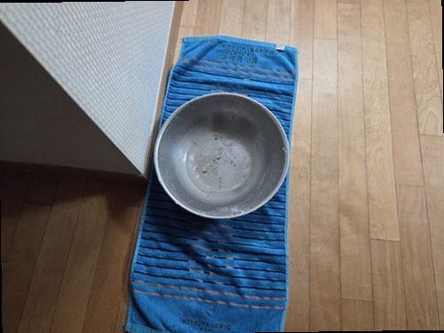 병점구 누수탐지 진안동 누수탐지 빌라계단누수 육안 점검과 정밀 검사 비교