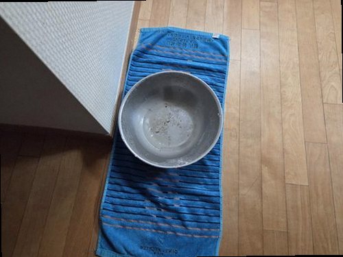 성북구 누수탐지 싱크대 하부장 내부의 물자국과 배관 연결부 점검 모습