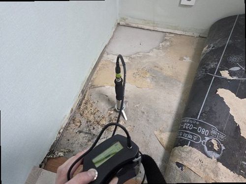 만안구 누수탐지 벽면 물자국과 천장 백화 흔적을 확인하는 모습