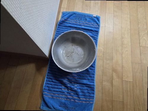 분당구 누수탐지 아래층 천장에 번진 누수 흔적과 점검 현장