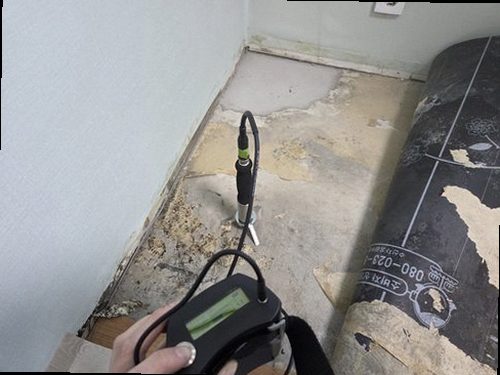 장안구 누수탐지 안방 천장에 번진 누수 흔적과 수분 측정 점검 모습