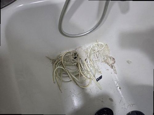 광주 누수탐지 싱크대 하부장과 벽면의 누수 흔적을 확인하는 현장