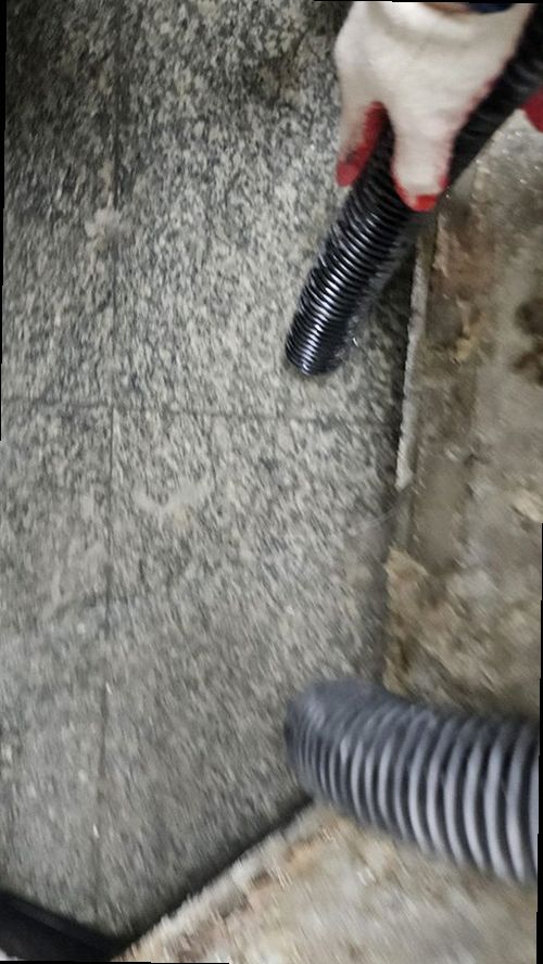중원구 누수탐지 욕실 천장에 번진 누수 흔적과 벽면 얼룩