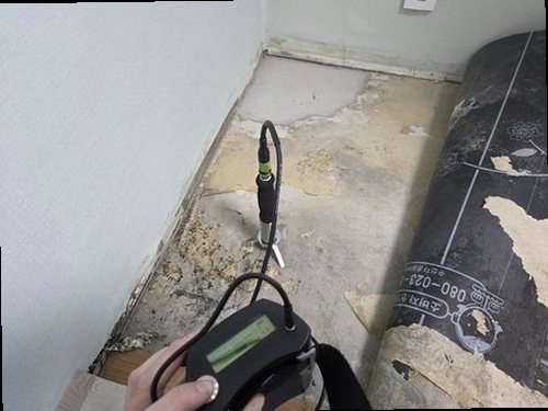 세종시 누수탐지 어진동 누수탐지 안방도배물흐름 직접 확인해 보니 달랐던 점