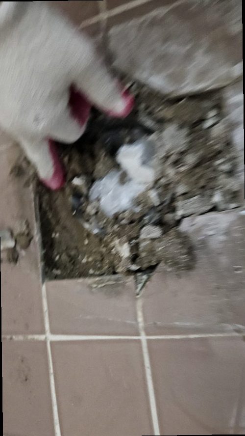 덕양구 누수탐지 가스탐지기와 청음탐지기를 활용한 누수 위치 확인