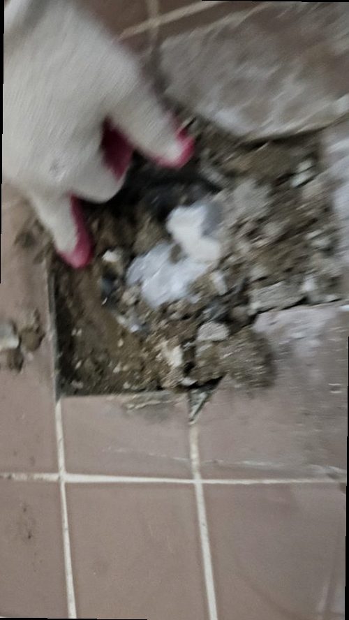 옹진군 누수탐지 천장에 번진 누수 흔적과 백화 현장