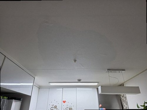 원미구 누수탐지 벽지와 걸레받이 주변에 번진 누수 흔적을 확인하는 현장