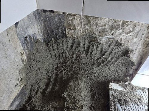 남동구 누수탐지 벽면 물자국과 천장 습기 상태를 확인하는 현장