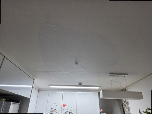 관악구 누수탐지 싱크대 하부장 내부와 배관 연결부를 확인하는 현장