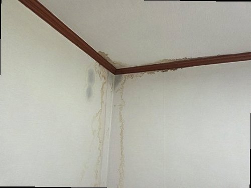 파주 누수탐지 당하동 누수탐지 거실도배젖음 원인부터 깔끔한 해결과 마무리