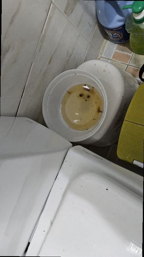 청주 누수탐지 가스탐지기와 청음탐지기로 누수 위치를 확인하는 과정